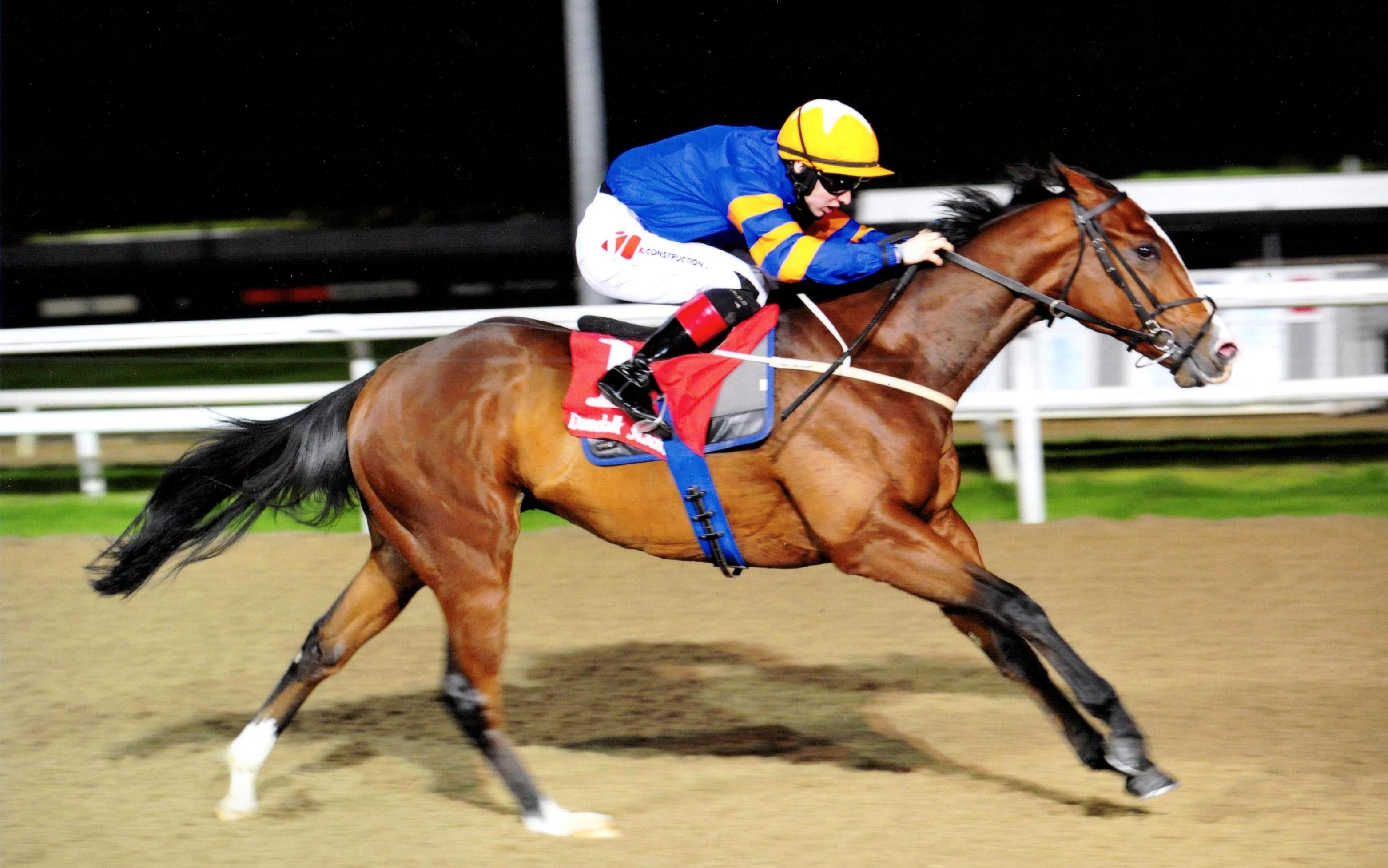 IT'S TWO O CLOCK makes a winning debut at Dundalk 3rd November 2017